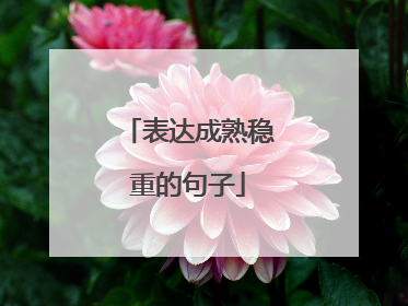 表达成熟稳重的句子