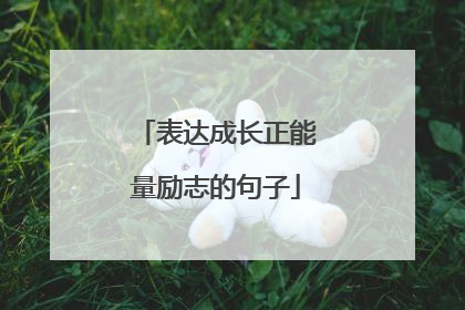 表达成长正能量励志的句子