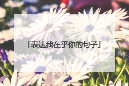 表达我在乎你的句子