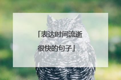 表达时间流逝很快的句子