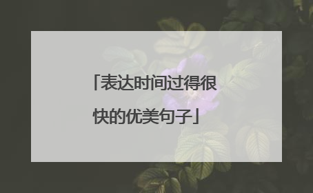 表达时间过得很快的优美句子