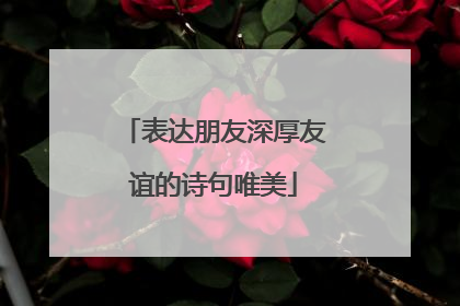 表达朋友深厚友谊的诗句唯美