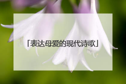 表达母爱的现代诗歌