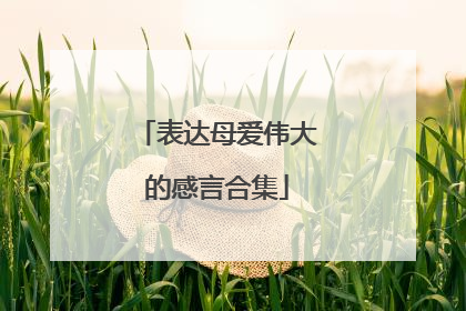表达母爱伟大的感言合集