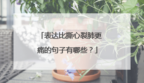表达比撕心裂肺更痛的句子有哪些?