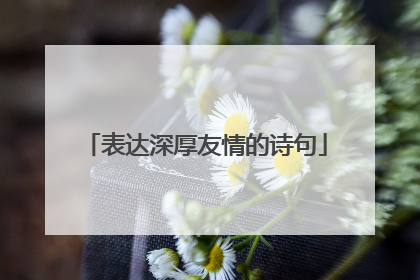表达深厚友情的诗句