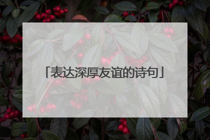 表达深厚友谊的诗句