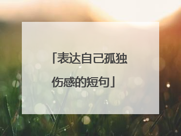 表达自己孤独伤感的短句