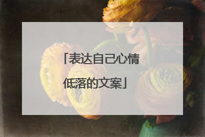 表达自己心情低落的文案