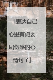 表达自己心里有点委屈伤感的心情句子