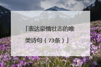 表达豪情壮志的唯美诗句（73条）