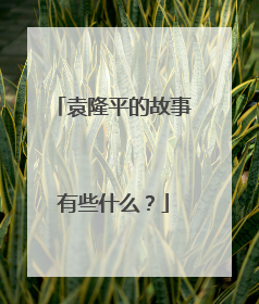 袁隆平的故事有些什么？