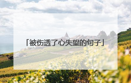 被伤透了心失望的句子