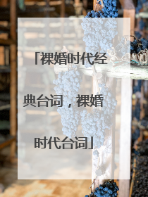 裸婚时代经典台词，裸婚时代台词