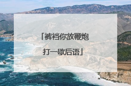 裤裆你放鞭炮 打一歇后语