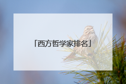 西方哲学家排名