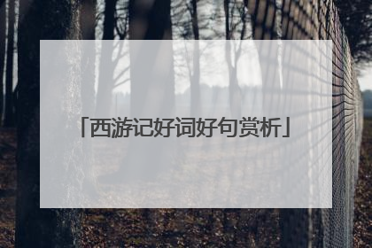 西游记好词好句赏析