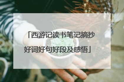 西游记读书笔记摘抄好词好句好段及感悟