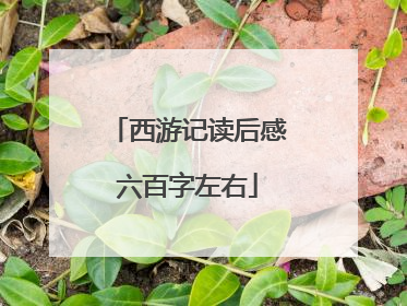 西游记读后感六百字左右