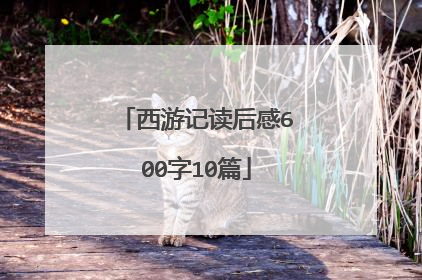 西游记读后感600字10篇