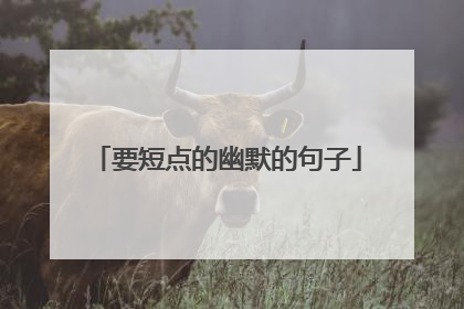 要短点的幽默的句子