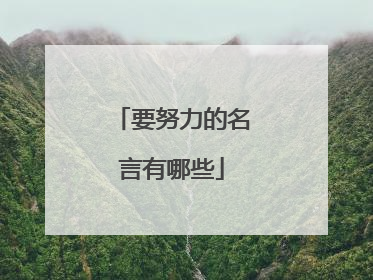 要努力的名言有哪些