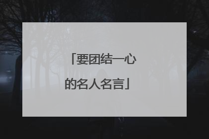 要团结一心的名人名言