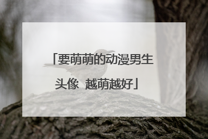 要萌萌的动漫男生头像 越萌越好