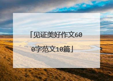 见证美好作文600字范文10篇