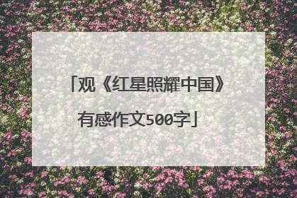观《红星照耀中国》有感作文500字