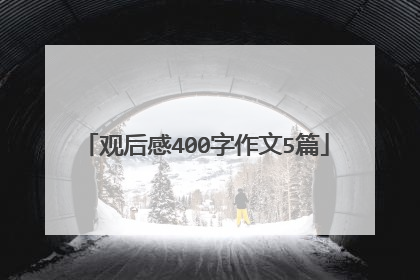 观后感400字作文5篇