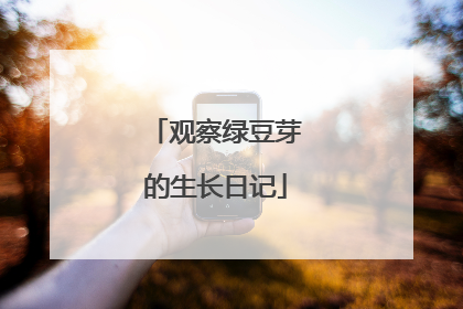 观察绿豆芽的生长日记