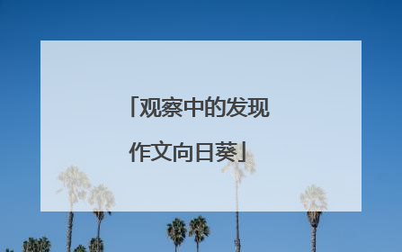 观察中的发现作文向日葵