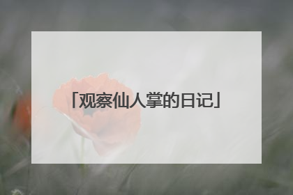 观察仙人掌的日记