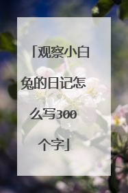 观察小白兔的日记怎么写300个字