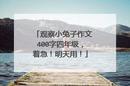 观察小兔子作文400字四年级，着急！明天用！