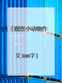 观察小动物作文300字