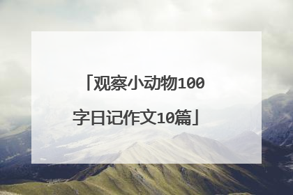 观察小动物100字日记作文10篇