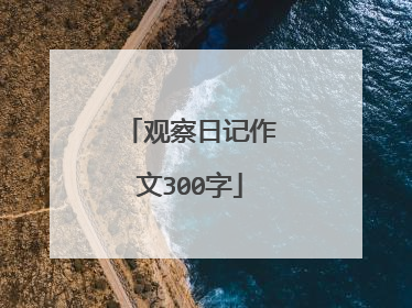 观察日记作文300字