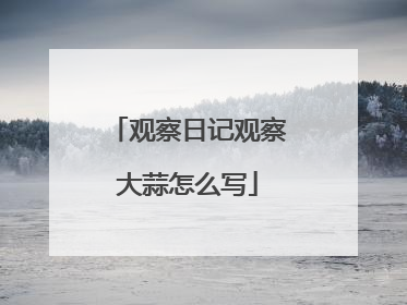观察日记观察大蒜怎么写