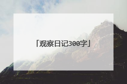 观察日记300字