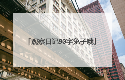 观察日记90字兔子哦