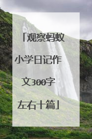 观察蚂蚁小学日记作文300字左右十篇