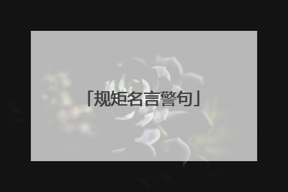 规矩名言警句