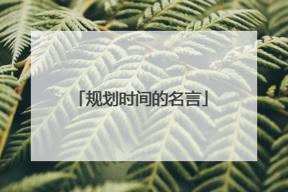 规划时间的名言