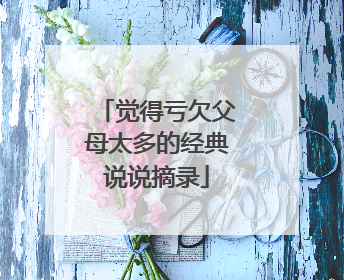觉得亏欠父母太多的经典说说摘录