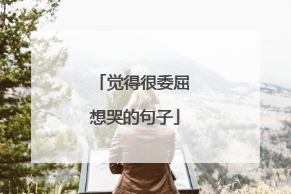 觉得很委屈想哭的句子