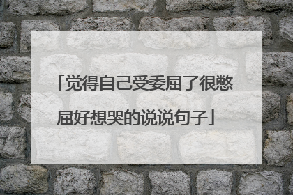 觉得自己受委屈了很憋屈好想哭的说说句子