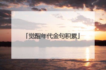 觉醒年代金句积累