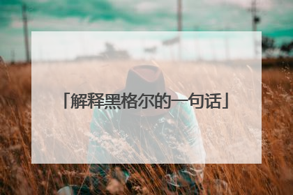 解释黑格尔的一句话